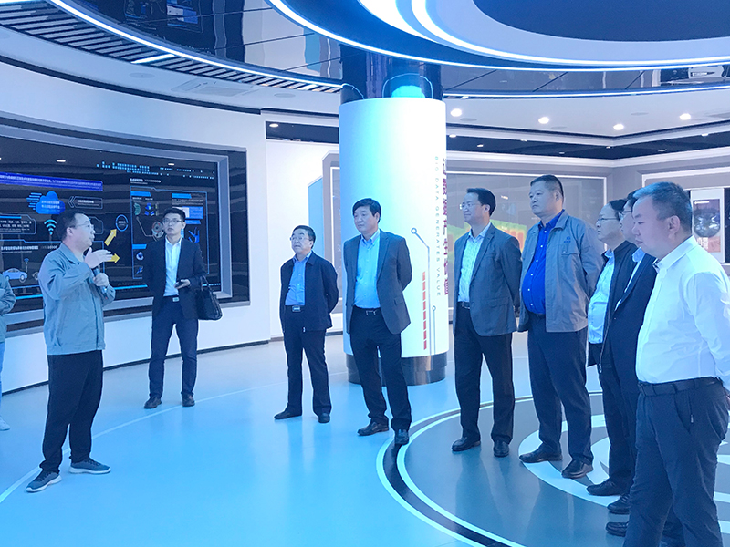 1604036096344753O5Re.jpg 3.jpg